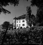 Schloß Ringberg (Kaltern-Weinstraße) (Positivo) di Foto Elisabeth Fuchs-Hauffen, Überlingen/Bodensee,Fuchs-Hauffen, Elisabeth (1970/10/01 - 1970/10/31)