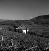 Schloß Ringberg (Kaltern-Weinstraße) (Positivo) di Foto Elisabeth Fuchs-Hauffen, Überlingen/Bodensee,Fuchs-Hauffen, Elisabeth (1970/10/01 - 1970/10/31)