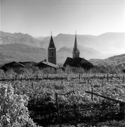 Weinberge in/bei Kaltern-St. Nikolaus (Positivo) di Foto Elisabeth Fuchs-Hauffen, Überlingen/Bodensee,Fuchs-Hauffen, Elisabeth (1970/10/01 - 1970/10/31)