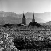 Weinberge in/bei Kaltern-St. Nikolaus (Positivo) di Foto Elisabeth Fuchs-Hauffen, Überlingen/Bodensee,Fuchs-Hauffen, Elisabeth (1970/10/01 - 1970/10/31)