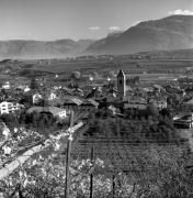 Weinberge in/bei Eppan-Berg (Positivo) di Foto Elisabeth Fuchs-Hauffen, Überlingen/Bodensee,Fuchs-Hauffen, Elisabeth (1970/10/01 - 1970/10/31)