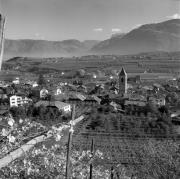 Weinberge in/bei Eppan-Berg (Positivo) di Foto Elisabeth Fuchs-Hauffen, Überlingen/Bodensee,Fuchs-Hauffen, Elisabeth (1970/10/01 - 1970/10/31)