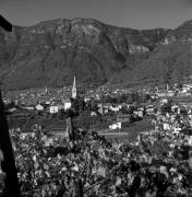 vitigno (Positivo) di Foto Elisabeth Fuchs-Hauffen, Überlingen/Bodensee,Fuchs-Hauffen, Elisabeth (1970/10/01 - 1970/10/31)