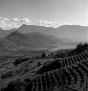 Weinberge in/bei Kaltern-See & Umgebung (Positivo) di Foto Elisabeth Fuchs-Hauffen, Überlingen/Bodensee,Fuchs-Hauffen, Elisabeth (1970/10/01 - 1970/10/31)