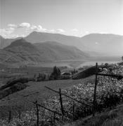 Weinberge in/bei Kaltern-See & Umgebung (Positivo) di Foto Elisabeth Fuchs-Hauffen, Überlingen/Bodensee,Fuchs-Hauffen, Elisabeth (1970/10/01 - 1970/10/31)