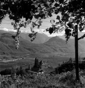 Weinberge in/bei Kaltern-See & Umgebung (Positivo) di Foto Elisabeth Fuchs-Hauffen, Überlingen/Bodensee,Fuchs-Hauffen, Elisabeth (1970/10/01 - 1970/10/31)