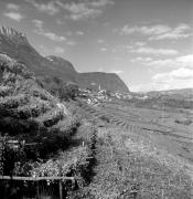 Weinberge in/bei Kaltern-See & Umgebung (Positivo) di Foto Elisabeth Fuchs-Hauffen, Überlingen/Bodensee,Fuchs-Hauffen, Elisabeth (1970/10/01 - 1970/10/31)