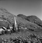 vigneto (Positivo) di Foto Elisabeth Fuchs-Hauffen, Überlingen/Bodensee,Fuchs-Hauffen, Elisabeth (1970/10/01 - 1970/10/31)