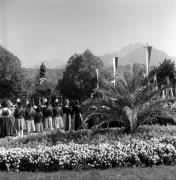 Marketenderin (Positivo) di Foto Elisabeth Fuchs-Hauffen, Überlingen/Bodensee,Fuchs-Hauffen, Elisabeth (1970/10/01 - 1970/10/31)