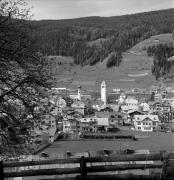bosco (Positivo) di Foto Elisabeth Fuchs-Hauffen, Überlingen/Bodensee,Fuchs-Hauffen, Elisabeth (1969/05/01 - 1969/05/31)