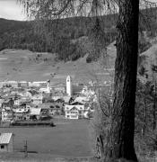 bosco (Positivo) di Foto Elisabeth Fuchs-Hauffen, Überlingen/Bodensee,Fuchs-Hauffen, Elisabeth (1969/05/01 - 1969/05/31)