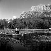 Seerose (Positivo) di Foto Elisabeth Fuchs-Hauffen, Überlingen/Bodensee,Fuchs-Hauffen, Elisabeth (1968/07/01 - 1968/07/31)