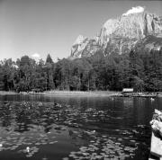 Steg an See (Positivo) di Foto Elisabeth Fuchs-Hauffen, Überlingen/Bodensee,Fuchs-Hauffen, Elisabeth (1968/07/01 - 1968/07/31)