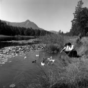 uomo (Positivo) di Foto Elisabeth Fuchs-Hauffen, Überlingen/Bodensee,Fuchs-Hauffen, Elisabeth (1968/07/01 - 1968/07/31)