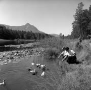 uomo (Positivo) di Foto Elisabeth Fuchs-Hauffen, Überlingen/Bodensee,Fuchs-Hauffen, Elisabeth (1968/07/01 - 1968/07/31)