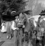 Pferderennen (Positivo) di Foto Elisabeth Fuchs-Hauffen, Überlingen/Bodensee,Fuchs-Hauffen, Elisabeth (1969/04/01 - 1969/04/43)