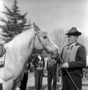 Pferderennen (Positivo) di Foto Elisabeth Fuchs-Hauffen, Überlingen/Bodensee,Fuchs-Hauffen, Elisabeth (1969/04/01 - 1969/04/43)