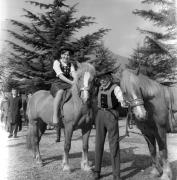 Pferderennen (Positivo) di Foto Elisabeth Fuchs-Hauffen, Überlingen/Bodensee,Fuchs-Hauffen, Elisabeth (1969/04/01 - 1969/04/43)