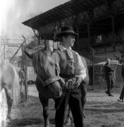 Pferderennen (Positivo) di Foto Elisabeth Fuchs-Hauffen, Überlingen/Bodensee,Fuchs-Hauffen, Elisabeth (1969/04/01 - 1969/04/43)