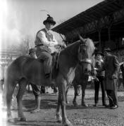 Pferderennen (Positivo) di Foto Elisabeth Fuchs-Hauffen, Überlingen/Bodensee,Fuchs-Hauffen, Elisabeth (1969/04/01 - 1969/04/43)