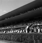 Pferderennen (Positivo) di Foto Elisabeth Fuchs-Hauffen, Überlingen/Bodensee,Fuchs-Hauffen, Elisabeth (1969/04/01 - 1969/04/43)