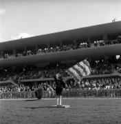 Pferderennen (Positivo) di Foto Elisabeth Fuchs-Hauffen, Überlingen/Bodensee,Fuchs-Hauffen, Elisabeth (1969/04/01 - 1969/04/43)