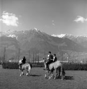 Pferderennen (Positivo) di Foto Elisabeth Fuchs-Hauffen, Überlingen/Bodensee,Fuchs-Hauffen, Elisabeth (1969/04/01 - 1969/04/43)