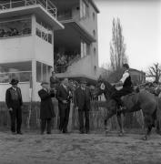 Pferderennen (Positivo) di Foto Elisabeth Fuchs-Hauffen, Überlingen/Bodensee,Fuchs-Hauffen, Elisabeth (1969/04/01 - 1969/04/43)