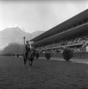 Pferderennen (Positivo) di Foto Elisabeth Fuchs-Hauffen, Überlingen/Bodensee,Fuchs-Hauffen, Elisabeth (1969/04/01 - 1969/04/43)