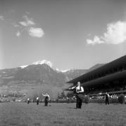 Pferderennen (Positivo) di Foto Elisabeth Fuchs-Hauffen, Überlingen/Bodensee,Fuchs-Hauffen, Elisabeth (1969/04/01 - 1969/04/43)