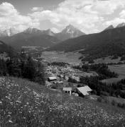 prato (Positivo) di Foto Elisabeth Fuchs-Hauffen, Überlingen/Bodensee,Fuchs-Hauffen, Elisabeth (1970/06/01 - 1970/06/63)