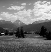 prato (Positivo) di Foto Elisabeth Fuchs-Hauffen, Überlingen/Bodensee,Fuchs-Hauffen, Elisabeth (1970/06/01 - 1970/06/63)