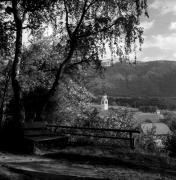 sentiero (Positivo) di Foto Elisabeth Fuchs-Hauffen, Überlingen/Bodensee,Fuchs-Hauffen, Elisabeth (1970/06/01 - 1970/06/63)