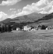 prato (Positivo) di Foto Elisabeth Fuchs-Hauffen, Überlingen/Bodensee,Fuchs-Hauffen, Elisabeth (1970/06/01 - 1970/06/63)