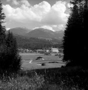 prato (Positivo) di Foto Elisabeth Fuchs-Hauffen, Überlingen/Bodensee,Fuchs-Hauffen, Elisabeth (1970/06/01 - 1970/06/63)