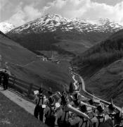 Fronleichnam (Positivo) di Foto Elisabeth Fuchs-Hauffen, Überlingen/Bodensee,Fuchs-Hauffen, Elisabeth (1970/06/01 - 1970/06/63)