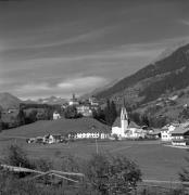 bosco (Positivo) di Foto Elisabeth Fuchs-Hauffen, Überlingen/Bodensee,Fuchs-Hauffen, Elisabeth (1970/10/01 - 1970/10/31)