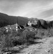 bosco (Positivo) di Foto Elisabeth Fuchs-Hauffen, Überlingen/Bodensee,Fuchs-Hauffen, Elisabeth (1970/10/01 - 1970/10/31)