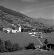 bosco (Positivo) di Foto Elisabeth Fuchs-Hauffen, Überlingen/Bodensee,Fuchs-Hauffen, Elisabeth (1970/10/01 - 1970/10/31)