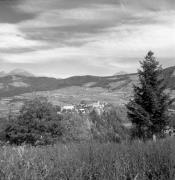 bosco (Positivo) di Foto Elisabeth Fuchs-Hauffen, Überlingen/Bodensee,Fuchs-Hauffen, Elisabeth (1970/10/01 - 1970/10/31)