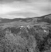 bosco (Positivo) di Foto Elisabeth Fuchs-Hauffen, Überlingen/Bodensee,Fuchs-Hauffen, Elisabeth (1970/10/01 - 1970/10/31)