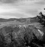 bosco (Positivo) di Foto Elisabeth Fuchs-Hauffen, Überlingen/Bodensee,Fuchs-Hauffen, Elisabeth (1970/10/01 - 1970/10/31)