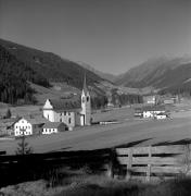 bosco (Positivo) di Foto Elisabeth Fuchs-Hauffen, Überlingen/Bodensee,Fuchs-Hauffen, Elisabeth (1970/10/01 - 1970/10/31)