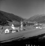 bosco (Positivo) di Foto Elisabeth Fuchs-Hauffen, Überlingen/Bodensee,Fuchs-Hauffen, Elisabeth (1970/10/01 - 1970/10/31)