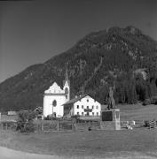 bosco (Positivo) di Foto Elisabeth Fuchs-Hauffen, Überlingen/Bodensee,Fuchs-Hauffen, Elisabeth (1970/10/01 - 1970/10/31)