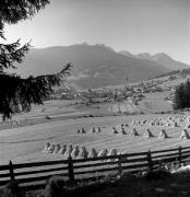 bosco (Positivo) di Foto Elisabeth Fuchs-Hauffen, Überlingen/Bodensee,Fuchs-Hauffen, Elisabeth (1970/10/01 - 1970/10/31)