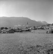 bosco (Positivo) di Foto Elisabeth Fuchs-Hauffen, Überlingen/Bodensee,Fuchs-Hauffen, Elisabeth (1970/10/01 - 1970/10/31)