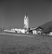 bosco (Positivo) di Foto Elisabeth Fuchs-Hauffen, Überlingen/Bodensee,Fuchs-Hauffen, Elisabeth (1970/10/01 - 1970/10/31)