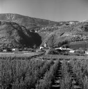 vigneto (Positivo) di Foto Elisabeth Fuchs-Hauffen, Überlingen/Bodensee,Fuchs-Hauffen, Elisabeth (1970/10/01 - 1970/10/31)