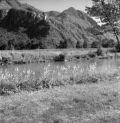 Schloß Maultasch (Terlan) (Positivo) di Foto Elisabeth Fuchs-Hauffen, Überlingen/Bodensee,Fuchs-Hauffen, Elisabeth (1970/10/01 - 1970/10/31)